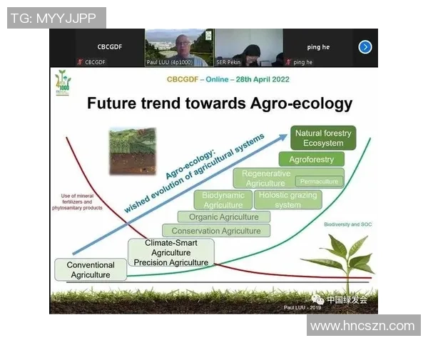 青年赛分析：IG团队协作的亮眼表现与未来潜力探讨